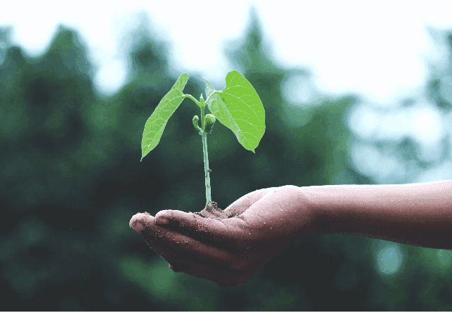 Como verificar se os fornecedores têm um selo de sustentabilidade? Aprenda na prática